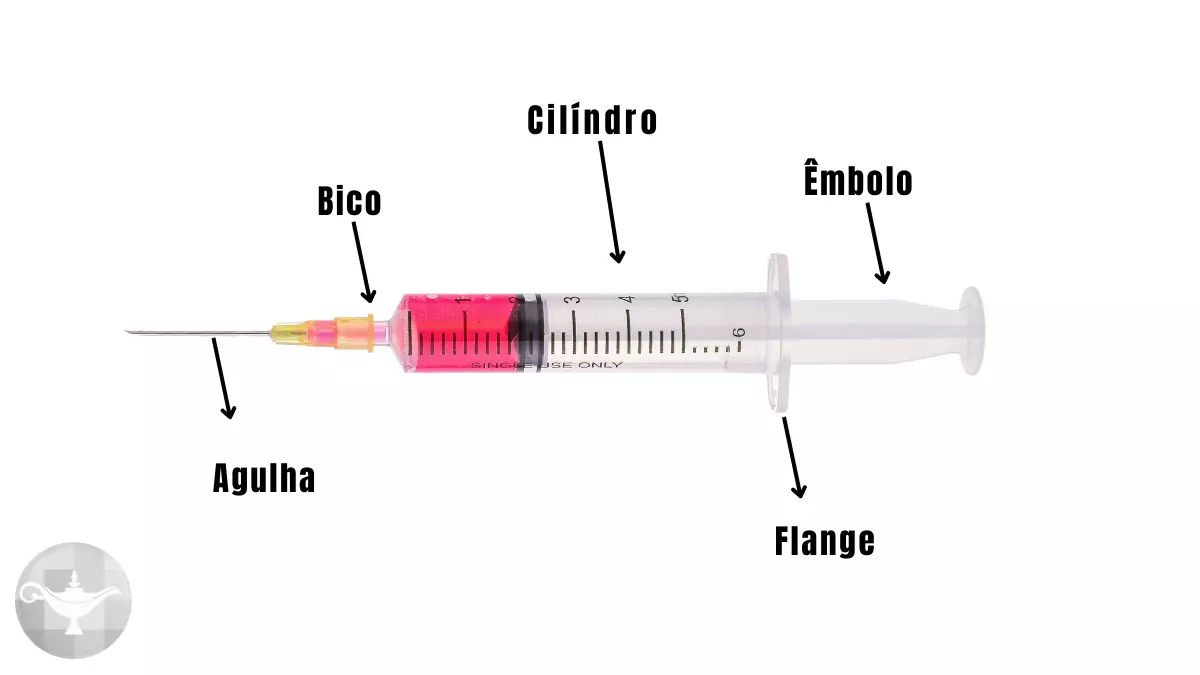 Partes de uma Seringa