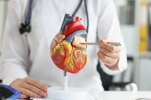 Sobrecargas das Câmaras Cardíacas