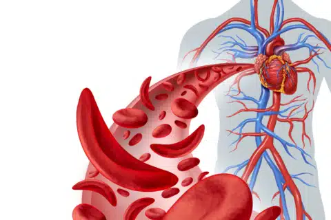Circulação pulmonar