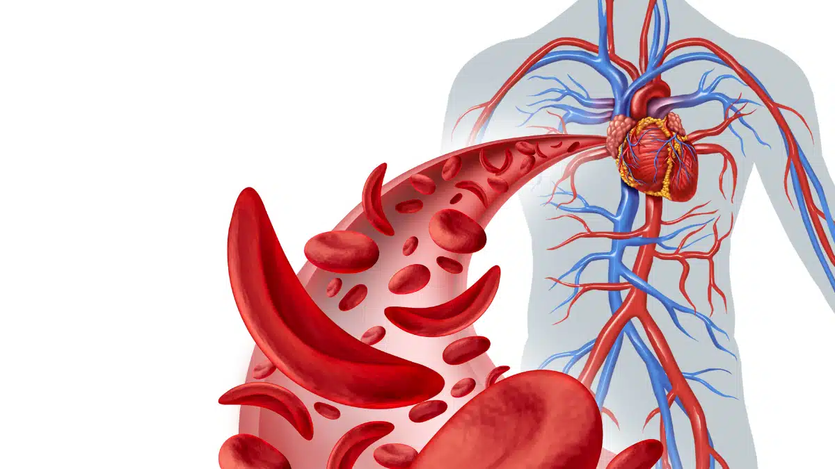 Circulação pulmonar
