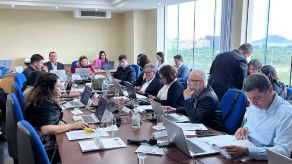 Adaptação e Progresso Cofen Atualiza Diretrizes para Enfermeiros Auditores