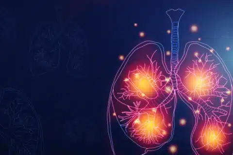 O Incrível Mundo dos Pulmões: Uma Maravilha da Engenharia Humana