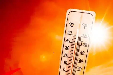 Ministério da Saúde Divulga Recomendações para Enfrentar Altas Temperaturas no País