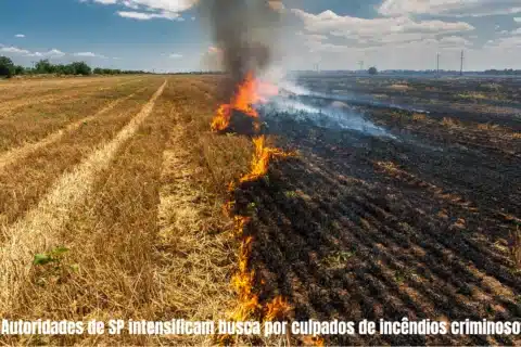 Autoridades de SP intensificam busca por culpados de incêndios criminosos