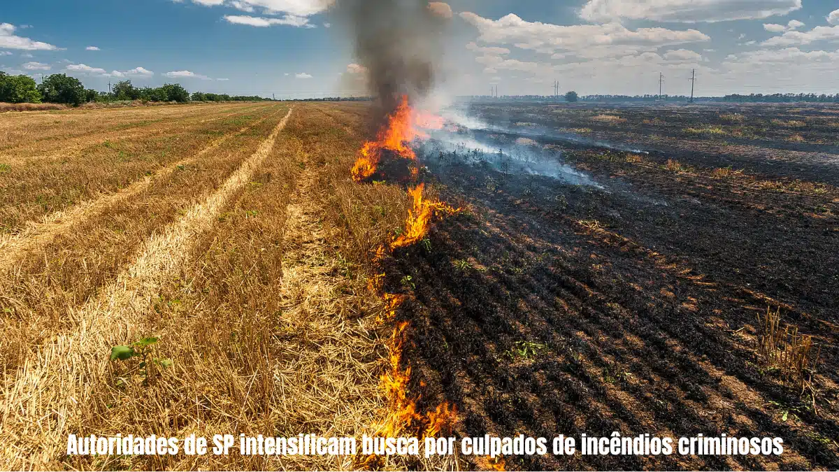 Autoridades de SP intensificam busca por culpados de incêndios criminosos