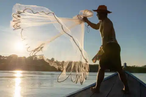 Peixe Candiru: A Ameaça Silenciosa das Águas Amazônicas