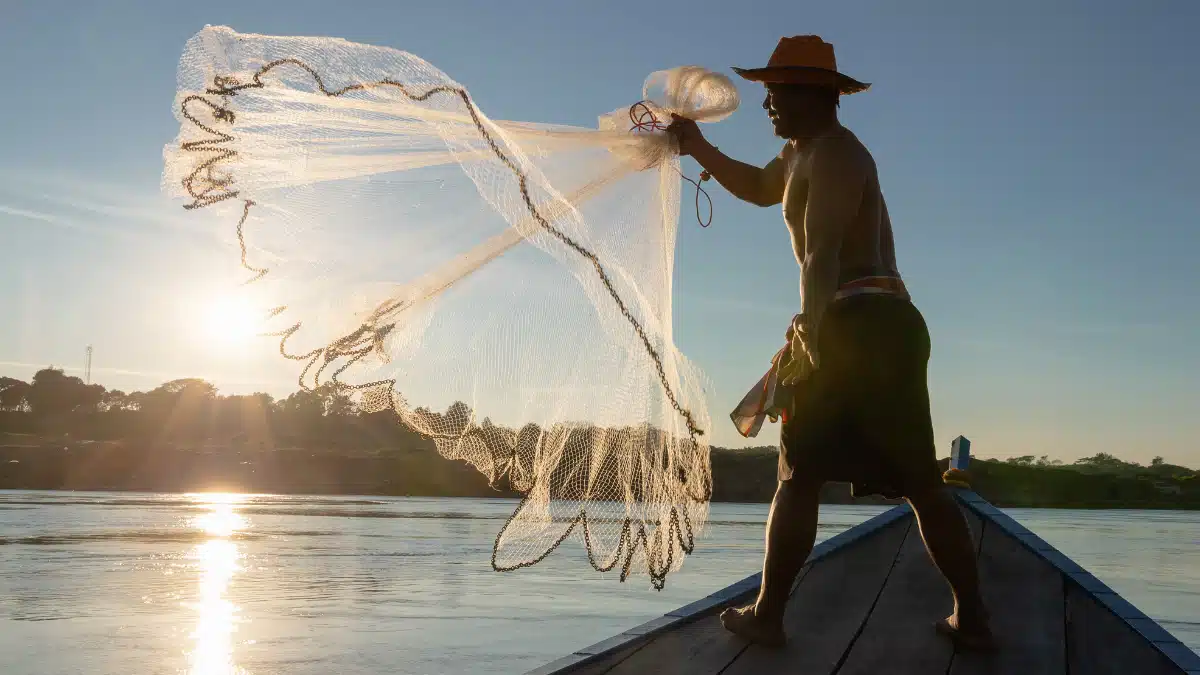 Peixe Candiru: A Ameaça Silenciosa das Águas Amazônicas
