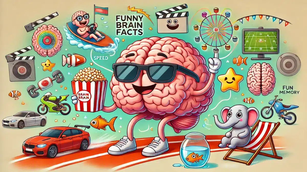 Curiosidades Cômicas do Cérebro Humano