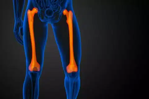 Femoral Relativo à coxa ou à artéria femoral