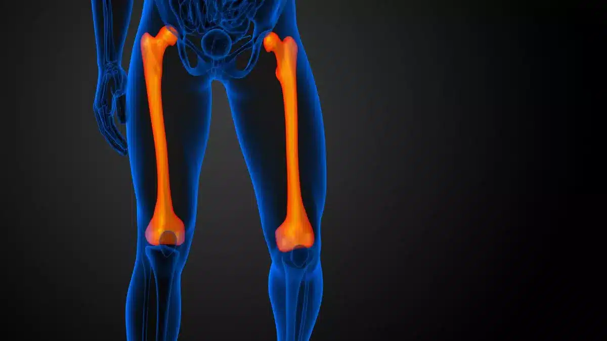 Femoral Relativo à coxa ou à artéria femoral