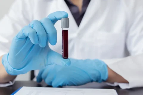 O papel do sangue no organismo humano