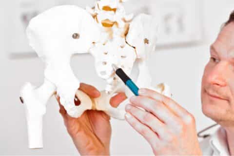 Sacral: Base da Coluna Vertebral