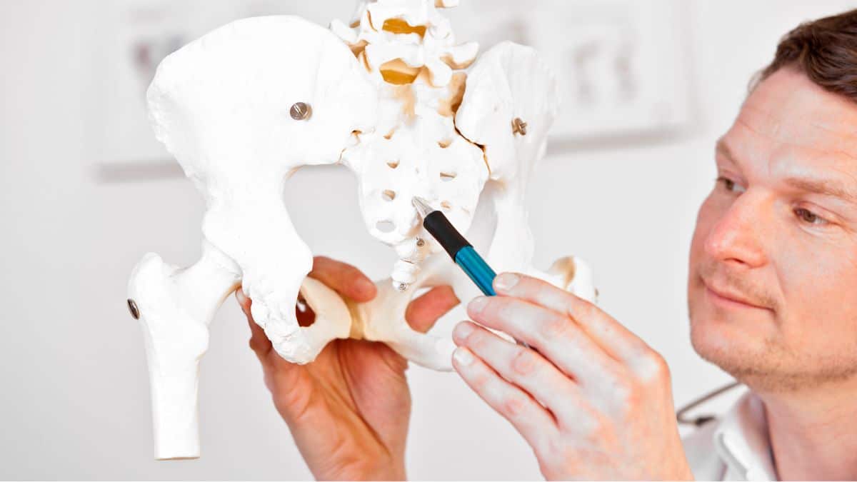 Sacral: Base da Coluna Vertebral