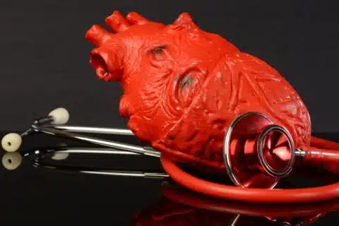 Saúde cardiovascular: alimentos que ajudam a cuidar do coração