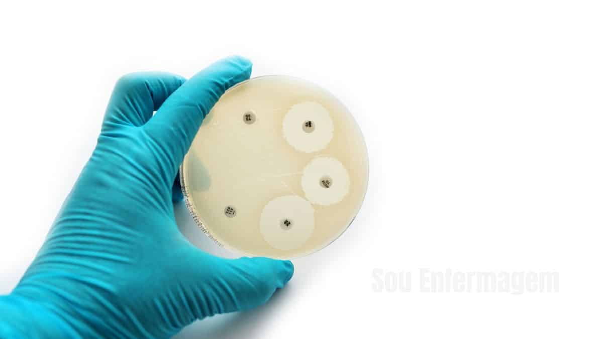 A Fascinante Descoberta da Penicilina em 1929 e o Futuro dos Antibióticos