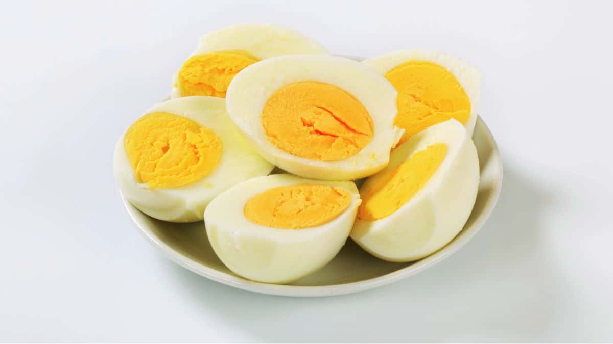 Afinal, Ovo Aumenta o colesterol? Vamos acabar com esse mito!