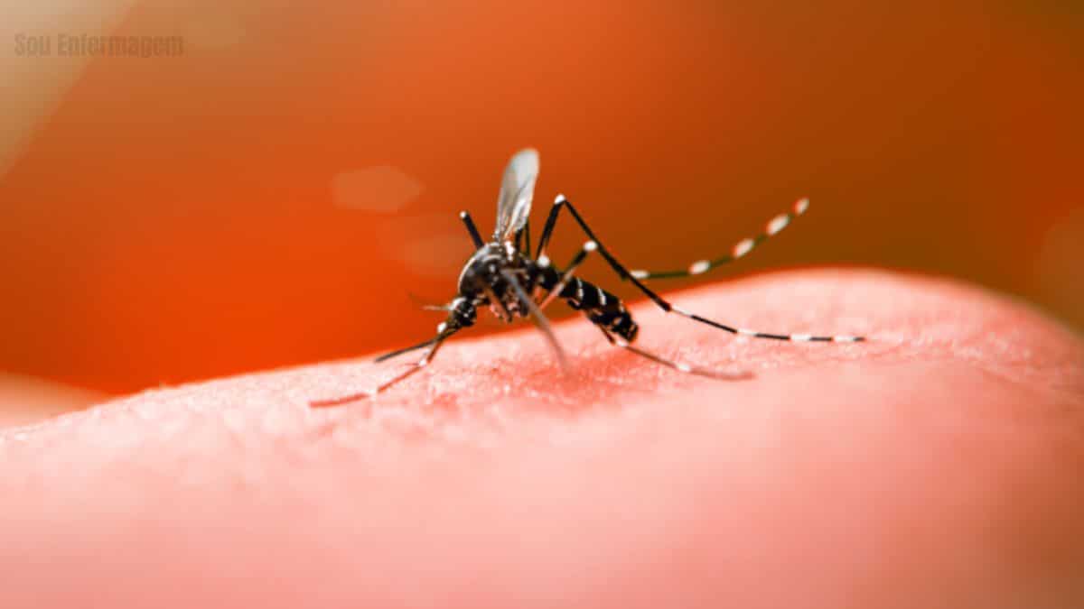 Alerta máximo Goiás registra surto de Dengue com 6 mortes suspeitas em 2025