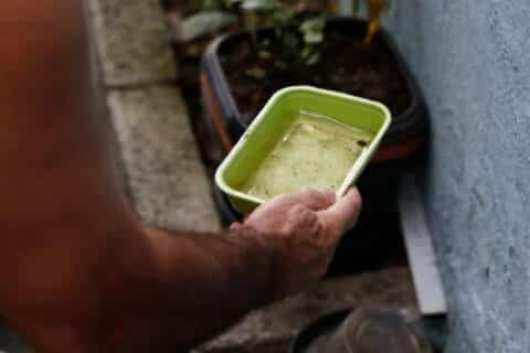 Dengue supera Covid-19 em número de mortes no Brasil em 2024