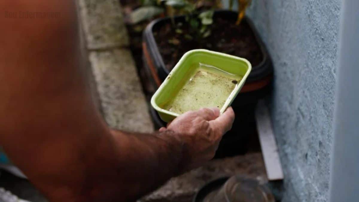 Dengue supera Covid-19 em número de mortes no Brasil em 2024