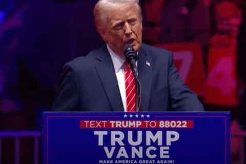 EUA oficializam saída da OMS: os motivos de Trump e a resposta da organização