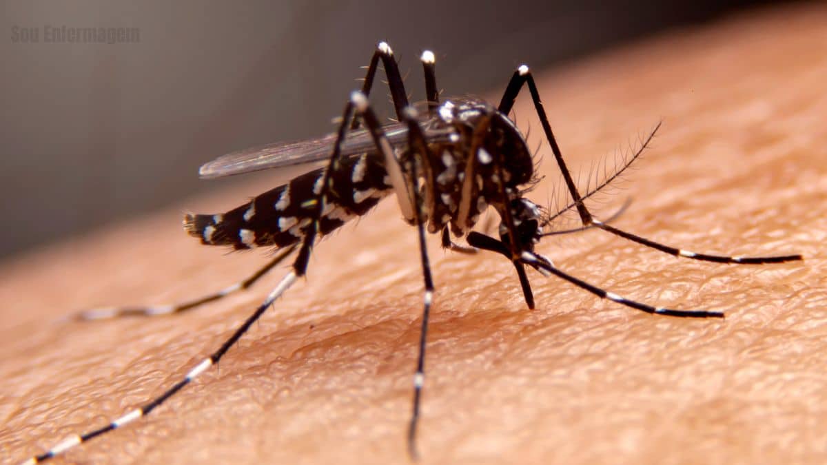 Estado do Rio de Janeiro registra 810 casos de Dengue nas primeiras semanas de 2025