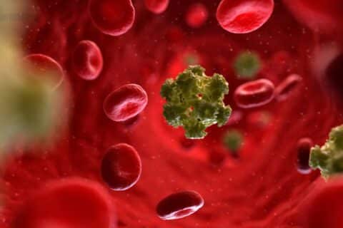 Estudante de medicina relata infecção por HPV em academia