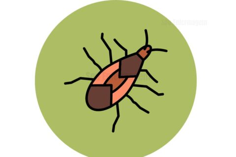 Identificação da Doença de Chagas