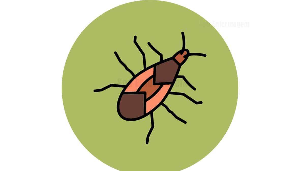 Identificação da Doença de Chagas