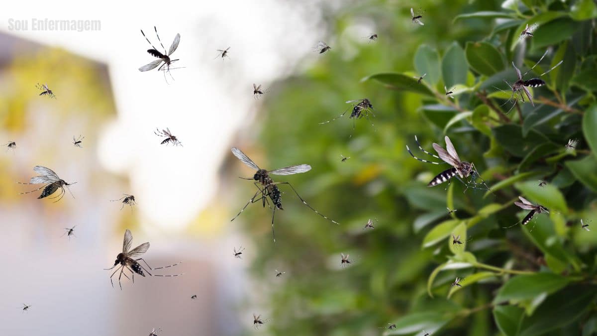 Minas Gerais adota tecnologia de ponta no combate à Dengue