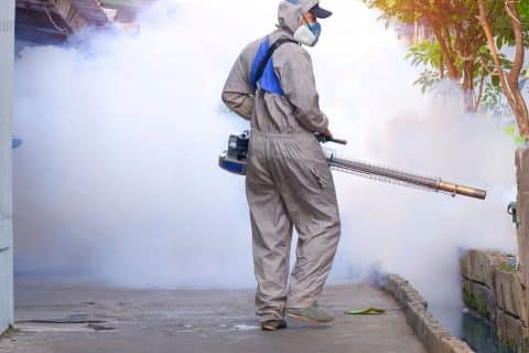 Nova variante da Dengue Alerta e mobilização em 2025