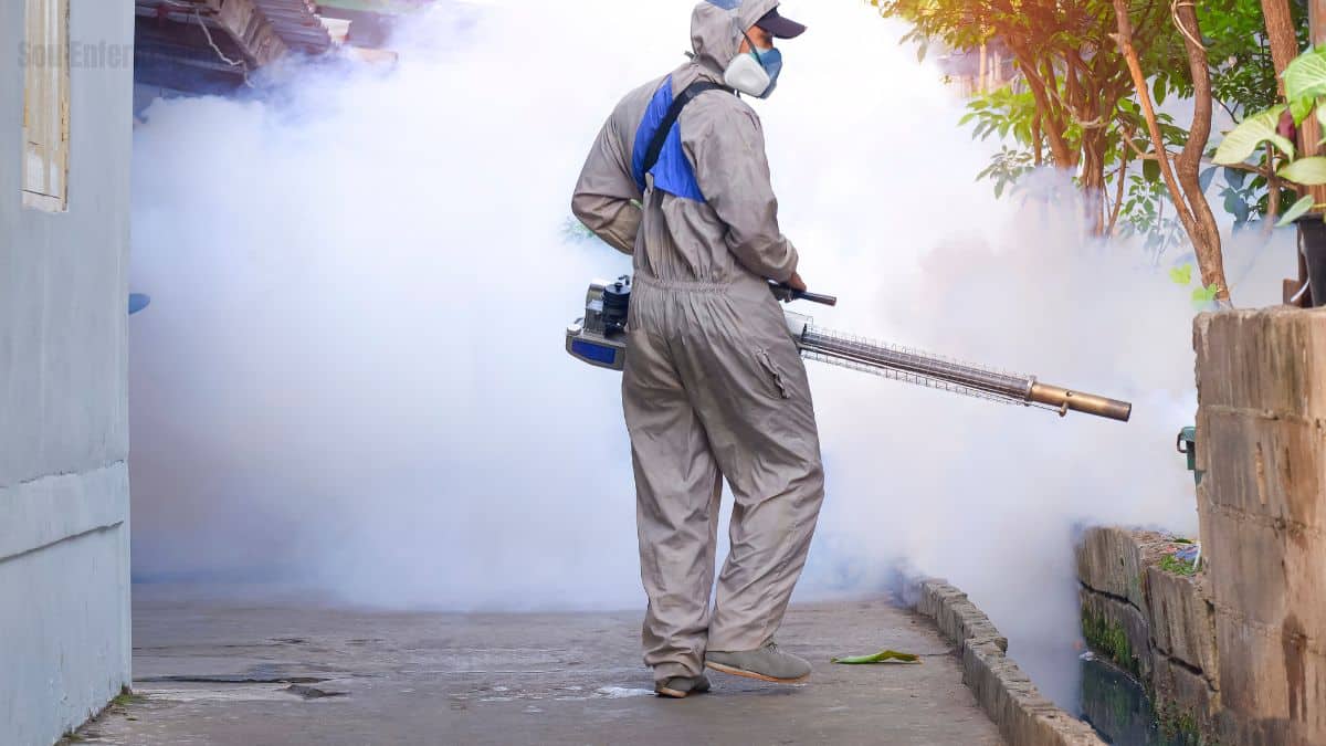 Nova variante da Dengue Alerta e mobilização em 2025