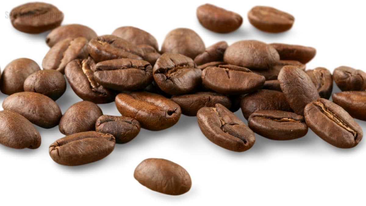 Perigo na xícara Anvisa suspende 7 marcas de café contaminadas
