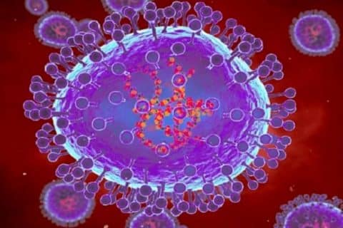 Pernambuco registra os primeiros casos de metapneumovírus em 2025