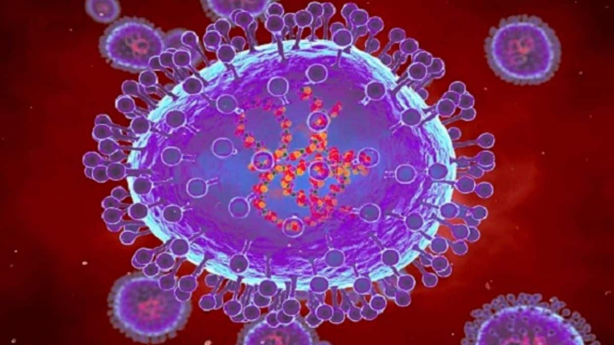 Pernambuco registra os primeiros casos de metapneumovírus em 2025