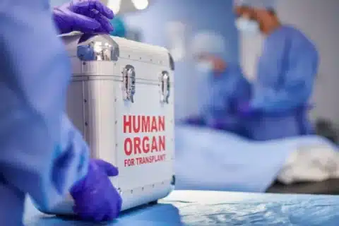 Primeiro Transplante de Fígado bem-sucedido (9 de janeiro de 1963)