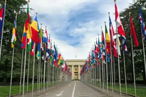 Reconhecimento Oficial da OMS como Agência Especializada da ONU (9 de janeiro de 1948)