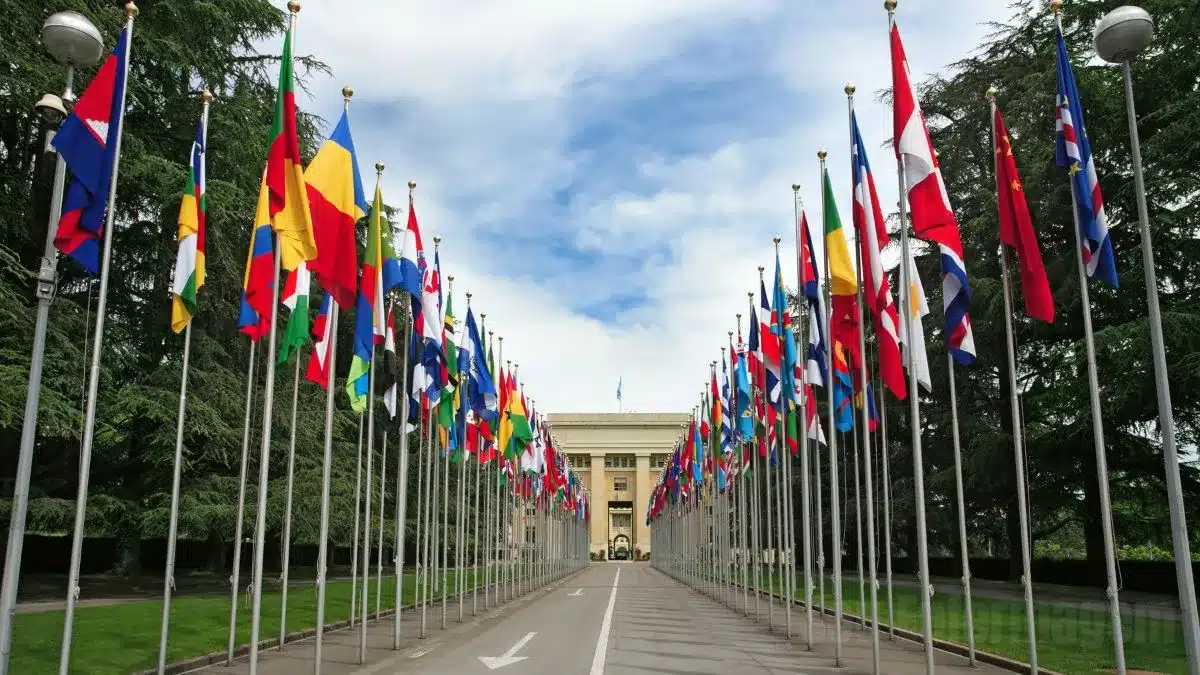 Reconhecimento Oficial da OMS como Agência Especializada da ONU (9 de janeiro de 1948)