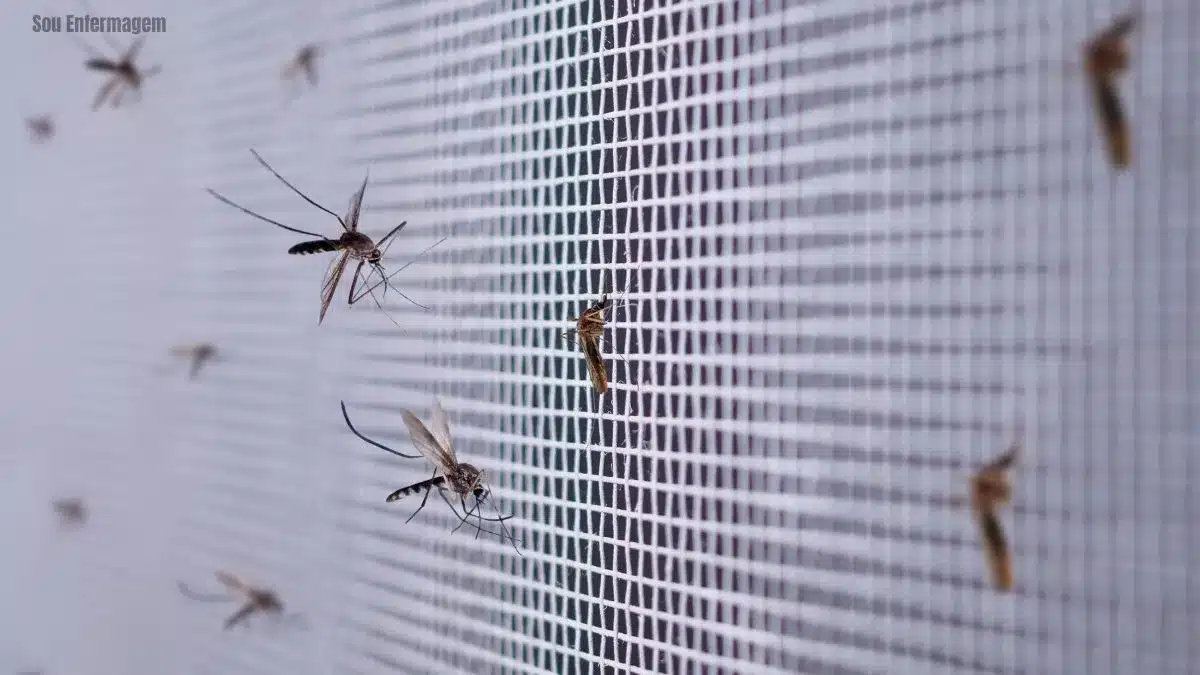 Alerta-da-OPAS-Risco-de-surtos-de-Dengue-tipo-3-ameaça-as-Américas