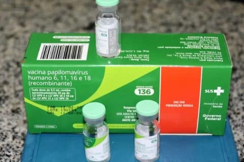Câncer anal mais de 38 mil internações no Brasil em 10 anos e os caminhos para a prevenção