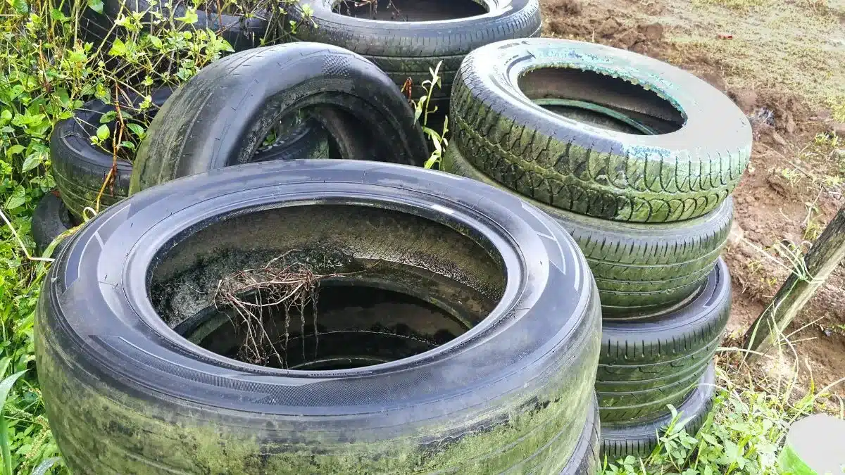 Filipinas pagam moradores para capturar mosquitos da dengue