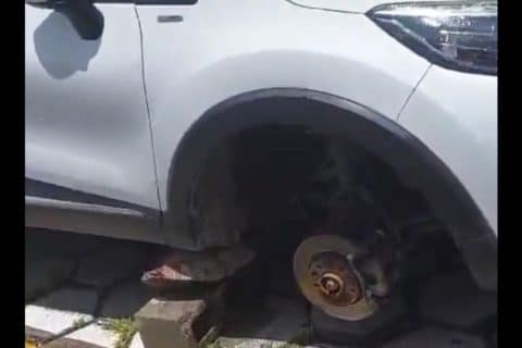 Mulher tem pneu furtado em estacionamento de hospital em Manaus e denuncia descaso com segurança