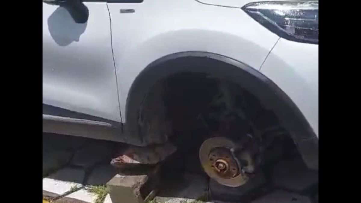 Mulher tem pneu furtado em estacionamento de hospital em Manaus e denuncia descaso com segurança