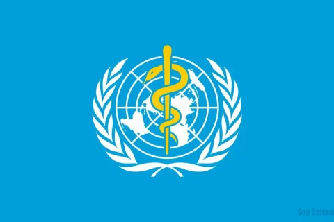 O-impacto-da-saída-de-um-país-da-OMS-riscos-para-a-saúde-global-e-a-pesquisa-científica