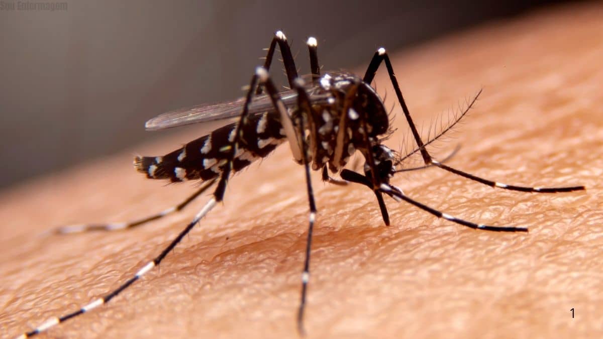 Brasil ultrapassa marca de 1 milhão de casos prováveis de dengue em 2025 e acende alerta nacional