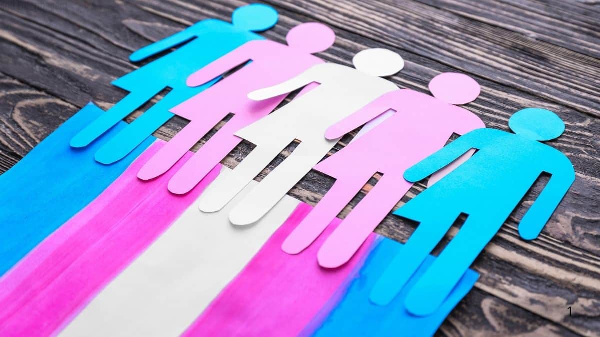 Conselho Federal de Medicina proíbe tratamentos hormonais para menores de 18 anos