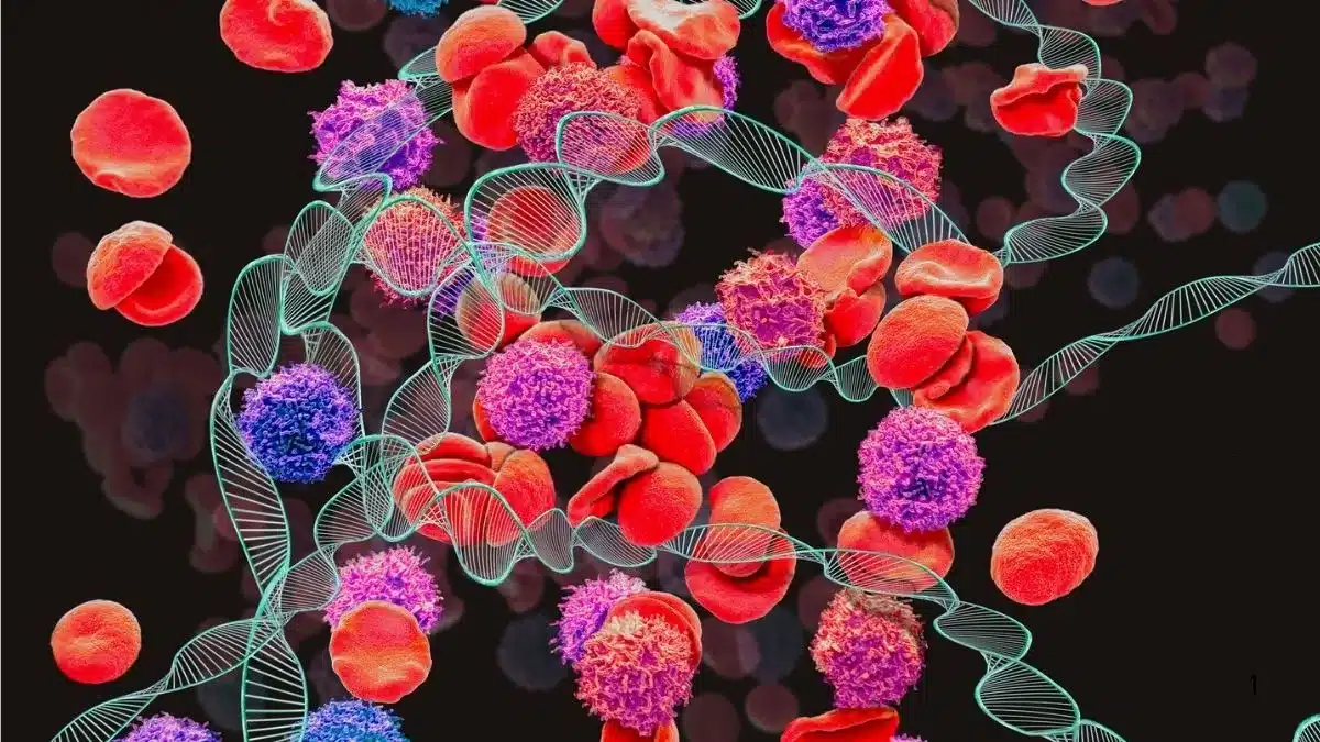Hemofilia no Brasil: a condição genética que afeta mais de 14 mil pessoas e exige atenção contínua