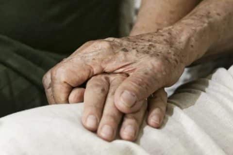 Nova esperança no combate ao Alzheimer Anvisa aprova medicamento inovador para estágios iniciais da doença