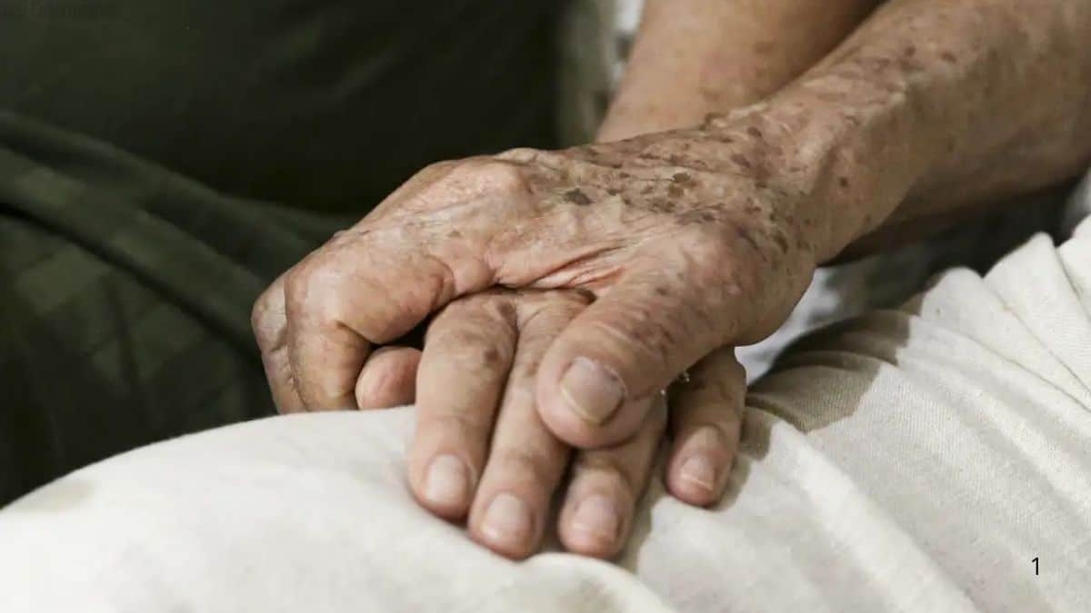Nova esperança no combate ao Alzheimer Anvisa aprova medicamento inovador para estágios iniciais da doença