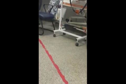 Rato circula por setor clínico do Hospital de Urgências de Sergipe e gera revolta entre pacientes