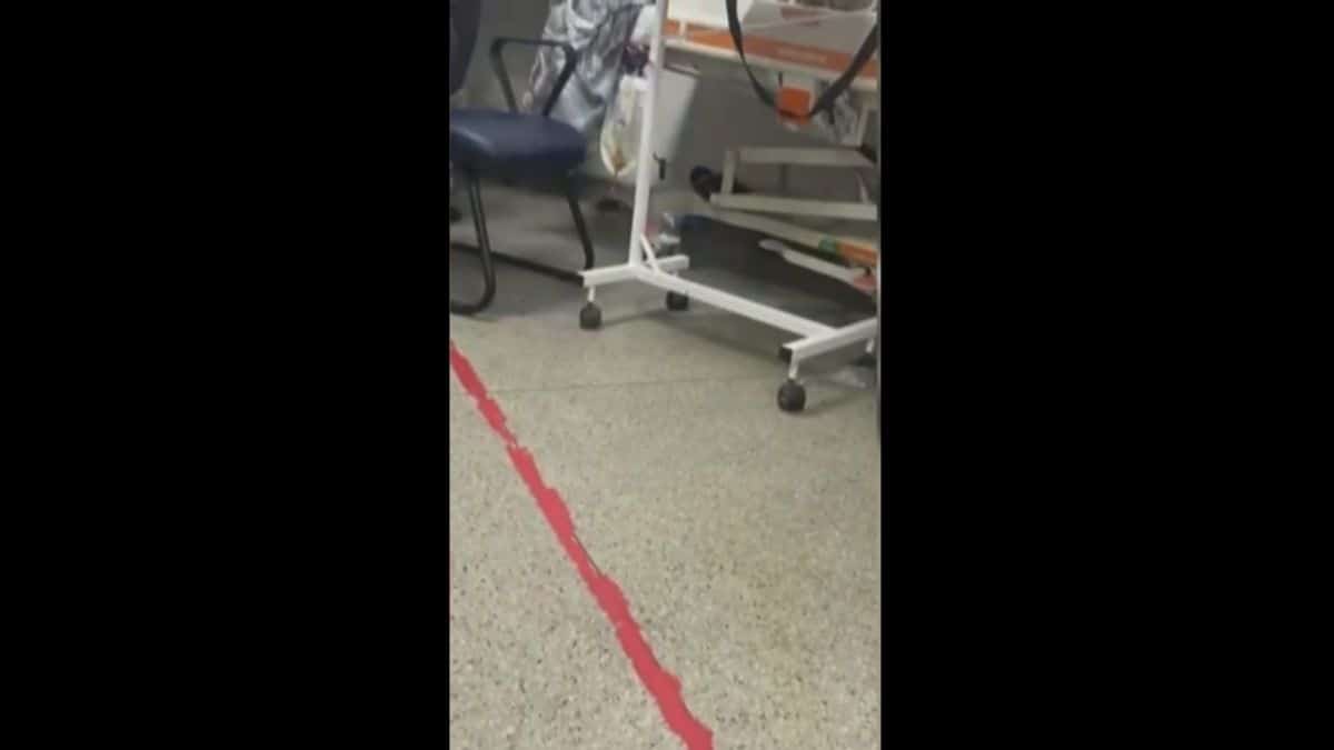 Rato circula por setor clínico do Hospital de Urgências de Sergipe e gera revolta entre pacientes